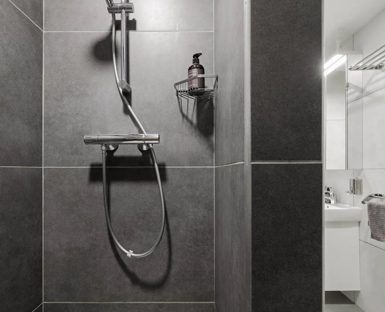 פראג Residence Ripska 26 דירה